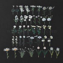40 個の防水ペット粘着ステッカーセット  花柄  花柄  7.9~8.6x2.3~6.2x0.015cm  40個/袋&nbsp;DIY-K032-56D