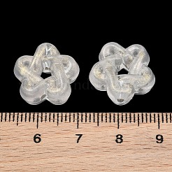Transparent Acrylic Beads&nbsp;AC-CBAE09B-08