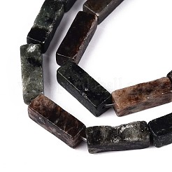 Natural Biotite Beads Strands&nbsp;G-T141-103