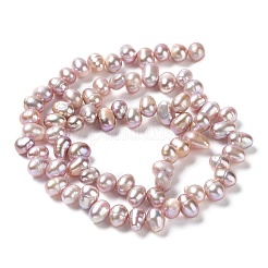 Natural Cultured Freshwater Pearl Beads Strands&nbsp;PEAR-J007-81