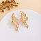 Iron Stud Earrings, Golden, Kelp, 61x19.4mm