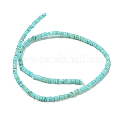 Dyed Natural Freshwater Shell Beads Strands&nbsp;BSHE-G039-07C