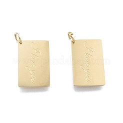 Ion Plating(IP) 304 Stainless Steel Pendants&nbsp;STAS-T060-17G