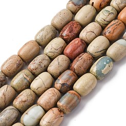 Natural Aqua Terra Jasper Beads Strands&nbsp;G-L624-C03-14x10mm