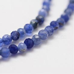 Natural Grade A Sodalite Beads Strands&nbsp;G-G663-21-2mm