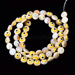 Natural Freshwater Shell Beads Strands&nbsp;SHEL-N003-15