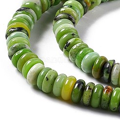 Natural Serpentine Jade Beads Strands&nbsp;G-F727-01