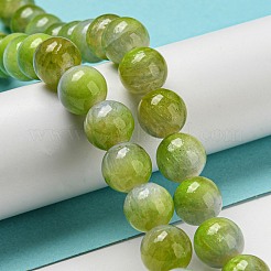染め加工天然石ホワイトジェイドビーズ連売り  ラウンド  黄緑  9.5~10mm  穴：1.2mm  約40個/連  15.94インチ（40.5cm）&nbsp;G-F764-03A