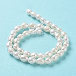 天然養殖淡水パールビーズ連売り  両面研磨  グレード4a+  貝殻色  7~8x8~9.5mm  穴：0.7mm  約42~43個/連  14.17''（36~36.5センチメートル）&nbsp;PEAR-Z002-18