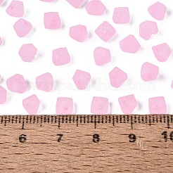 FGB Frosted Transparent Glass Seed Beads&nbsp;SEED-N013-03A-05