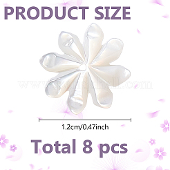 8Pcs Natural Shell Beads&nbsp;FIND-GO0003-28