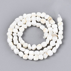 Natural Freshwater Shell Beads Strands&nbsp;SHEL-N038-31