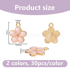 60Pcs 2 Colors Light Gold Plated Alloy Enamel Pendants&nbsp;ENAM-DC0002-29