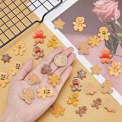 Resin Cabochons&nbsp;CRES-SC0001-62