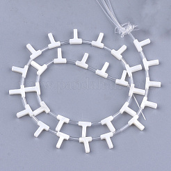 Freshwater Shell Beads&nbsp;X-SHEL-T012-59T