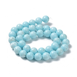 Natural Howlite Beads Strands&nbsp;G-E604-B02-C