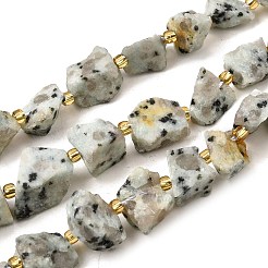 Raw Rough Natural Seaame Jasper Beads Strands&nbsp;G-Z087-A10