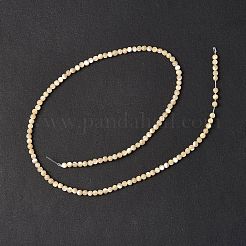 Natural Trochid Shell/Trochus Shell Beads Strands&nbsp;SSHEL-S266-023B-07