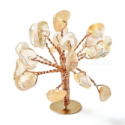 Natural Citrine Chips Display Decorations&nbsp;G-Z016-13B