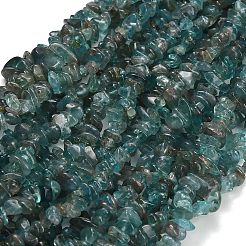 Natural Apatite Beads Strands&nbsp;GG-CBAE051-A06-01
