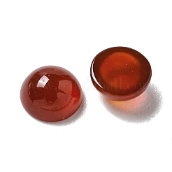 天然石カーネリアンカボション  半円  5x2.5mm&nbsp;G-Q173-01B-14