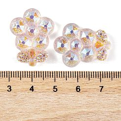 Transparent Epoxy Resin Flower Decoden Cabochons&nbsp;CRES-M034-06C