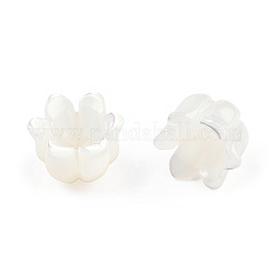 Natural White Shell Bead Caps&nbsp;SSHEL-N032-58B