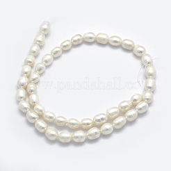 天然養殖淡水パールビーズ連売り  オーバル  フローラルホワイト  8~9x7~8mm  穴：0.8mm  穴：0.8mm  約34個/連  13.78インチ（35cm）&nbsp;PEAR-K003-24A