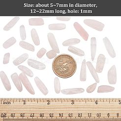 天然なローズクォーツチップ連売りビーズ  12~22x5~7mm  穴：1mm  15.98''（40.6センチメートル）  1連/箱&nbsp;G-OC0003-59
