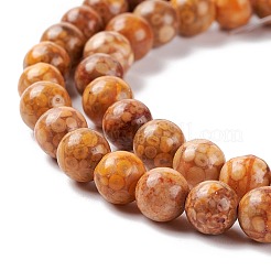 Natural Maifanite/Maifan Stone Beads Strands&nbsp;G-P451-01B-C
