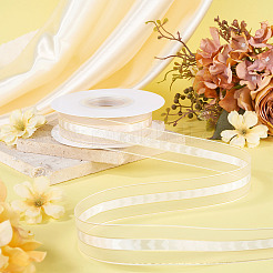 Polyester Lace Ribbon&nbsp;OCOR-TADJ0001-07A