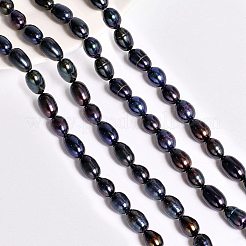 天然養殖淡水パールビーズ連売り  染め  ライス  プルシアンブルー  8~11x7~8mm  穴：0.6~0.7mm  約42個/連  14.1インチ（35.8cm）  1連売り/箱&nbsp;PEAR-NB0001-40