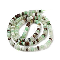 Natural Chrysoprase Beads Strands&nbsp;G-B088-A01-01