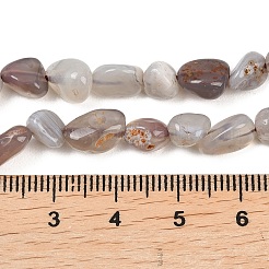 Natural Botswana Agate Nuggets Beads Strands&nbsp;G-B170-A01