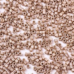 FGB 11/0 Grade A Baking Paint Glass Seed Beads&nbsp;SEED-S030-1029