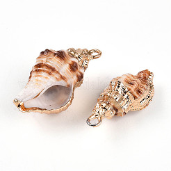 Natural Sea Shell Pendants&nbsp;SSHEL-N038-45