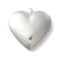 Tarnish Resistant 304 Stainless Steel Diffuser Locket Pendants&nbsp;STAS-K002-06P