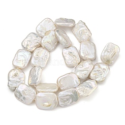 天然ケシパールビーズ連売り  バロック真珠  長方形  貝殻色  19~24.5x14~16x4~7mm  穴：0.9mm  約22個/連  15.59''（39.6センチメートル）&nbsp;PEAR-B003-01