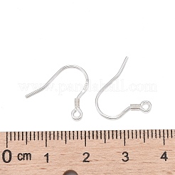 925 Sterling Silver Earring Hooks&nbsp;STER-E046-01S