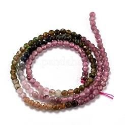 Natural Multicolor Tourmaline Beads Strands&nbsp;G-H266-15B
