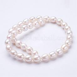 天然養殖淡水パールビーズ連売り  オーバル  貝殻色  10~11x9~10mm  穴：0.5mm  約35~37個/連  15.5インチ〜15.7インチ&nbsp;PEAR-P002-09