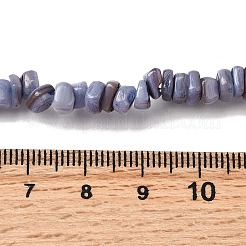 天然淡水シェルビーズ  染め  ナゲット  プラム  4.5~9x4.5~7x1.5~5mm  穴：0.8mm  約163~165個/連  14.88~15.08''（37.8~38.3センチメートル）&nbsp;SHEL-B003-01G