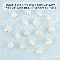 天然スパイラルシェルビーズ  穴がない  アンティークホワイト  21~29x21~29x17~25mm  16個/箱&nbsp;SHEL-PH0001-42