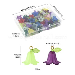 50Pcs Transparent Acrylic Pendants&nbsp;PALLOY-FS00043-05