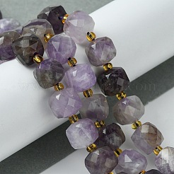 Natural Amethyst Beads Strands&nbsp;G-Q010-A07-01