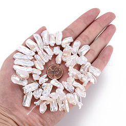 Natural Keshi Pearl Beads Strands&nbsp;PEAR-S020-H07