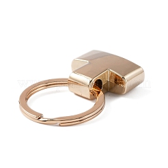 Alloy Keychain Clasps&nbsp;DIY-WH0283-94KCG