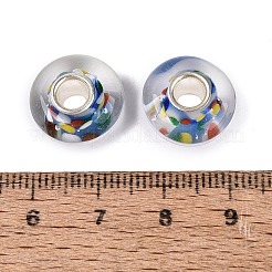 Handmade Lampwork & Brass Core European Beads&nbsp;LAMP-N044-09S-01