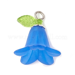Frosted Acrylic Pendants Kit&nbsp;PALLOY-JF02421