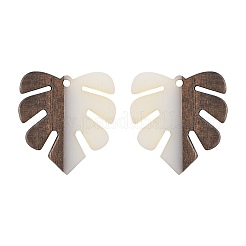 6Pcs Resin & Walnut Wood Pendants&nbsp;RESI-FS0002-21
